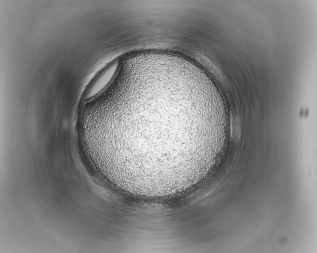 X0000093620483200711051242