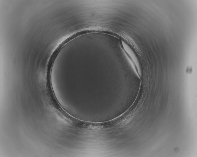 X0000093620484200711051242