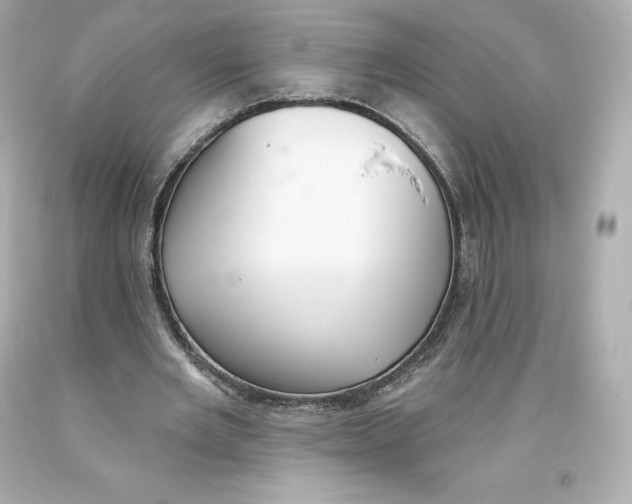 X0000093620485200711051242