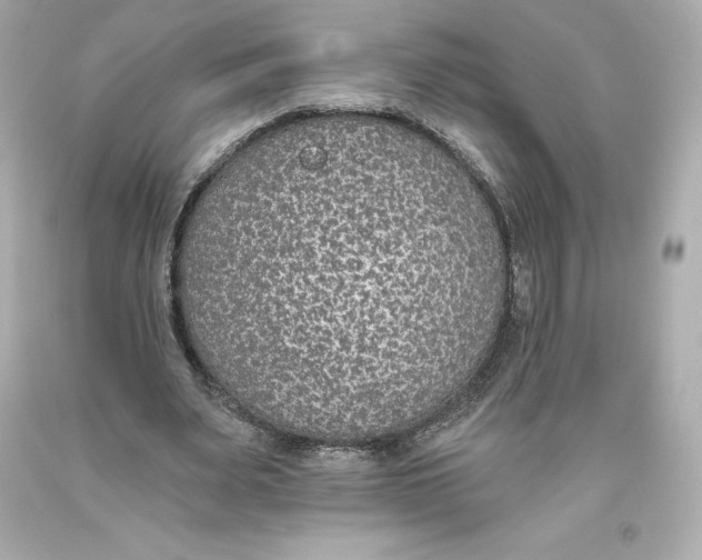 X0000093620487200711051242