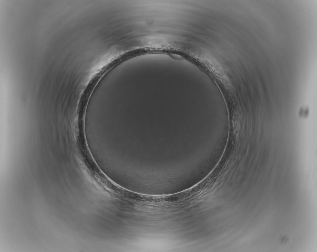 X0000093620488200711051242