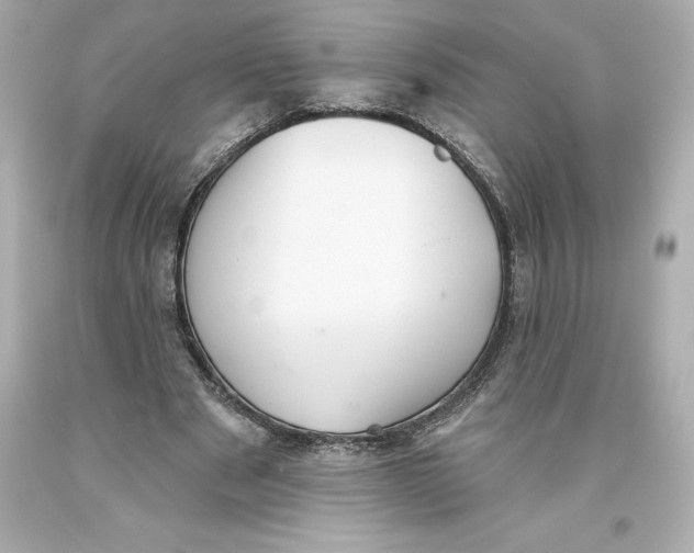 X0000093620489200711051242