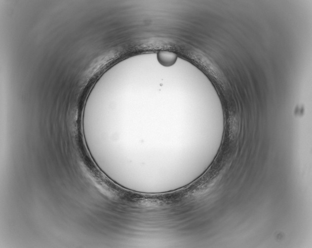 X0000093620490200711051242