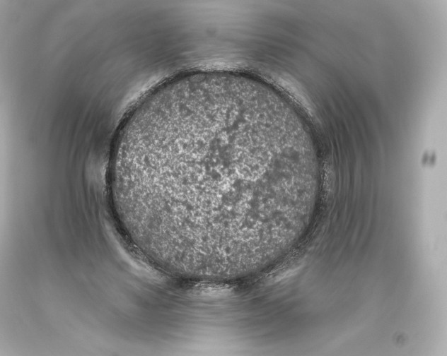 X0000093620491200711051242