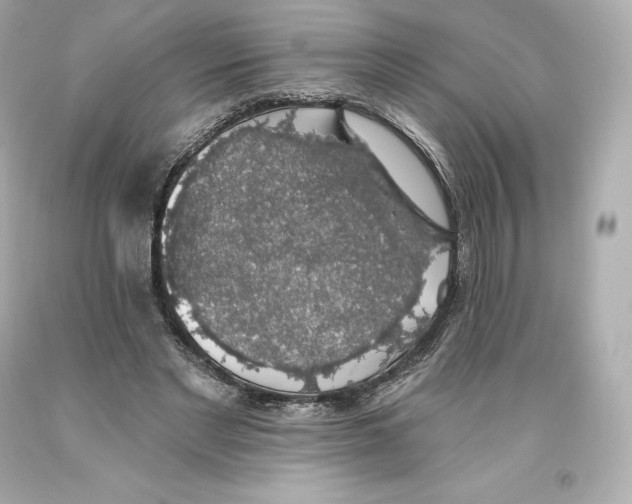 X0000093620493200711051242