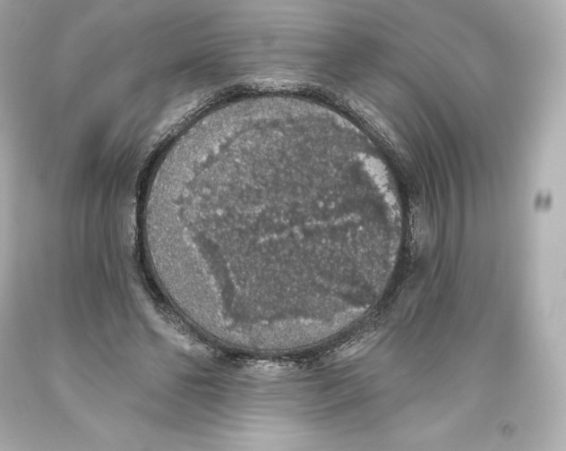 X0000093620494200711051242