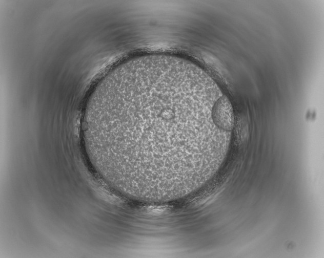 X0000093620495200711051242