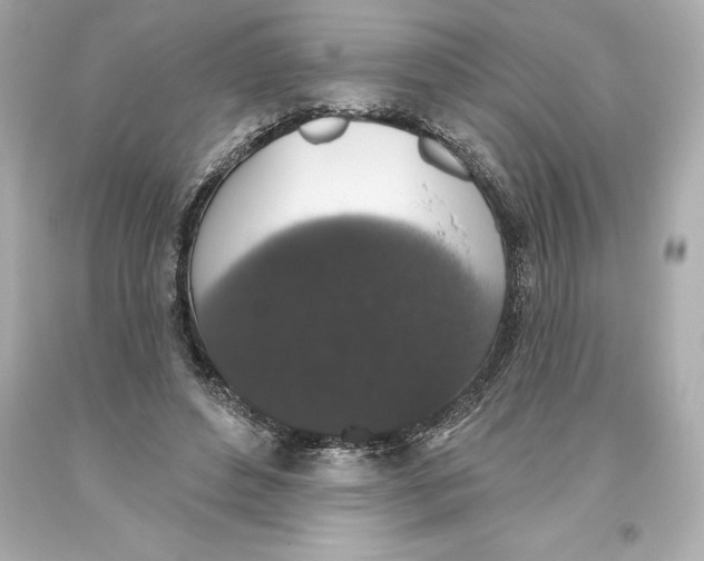 X0000093620496200711051242