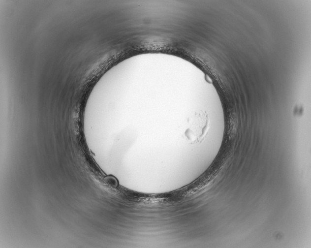 X0000093620497200711051242