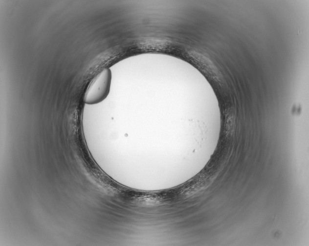 X0000093620498200711051242