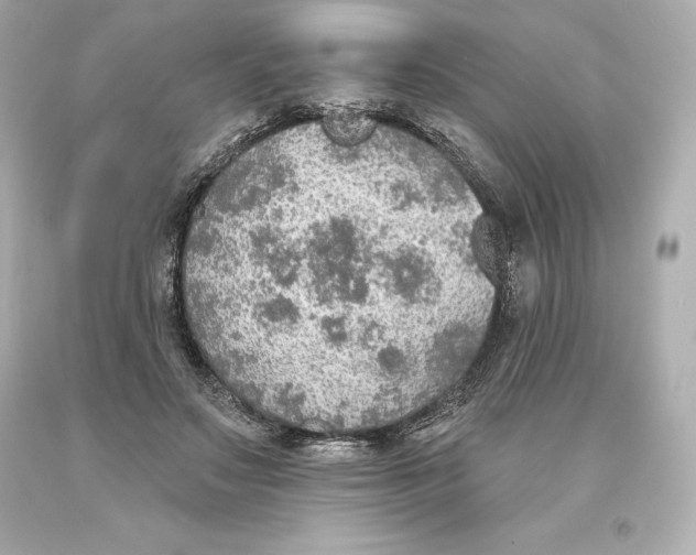 X0000093620499200711051242