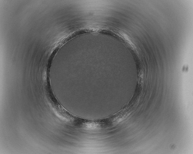 X0000093620500200711051242