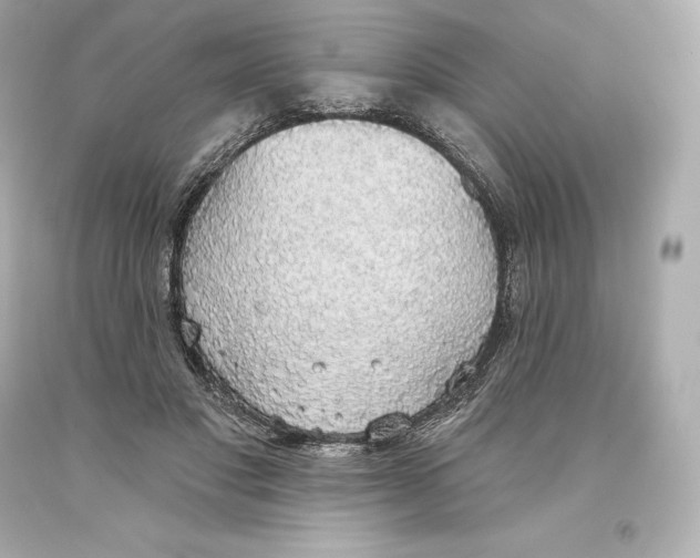 X0000093620501200711051242