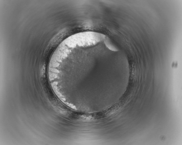 X0000093620502200711051242