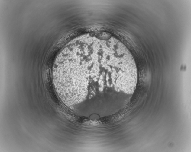 X0000093620503200711051242