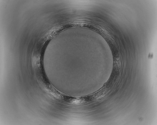 X0000093620504200711051242