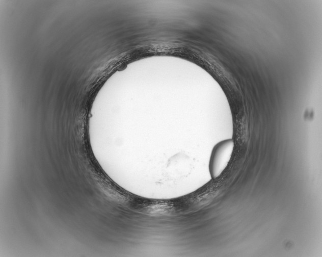 X0000093620505200711051242