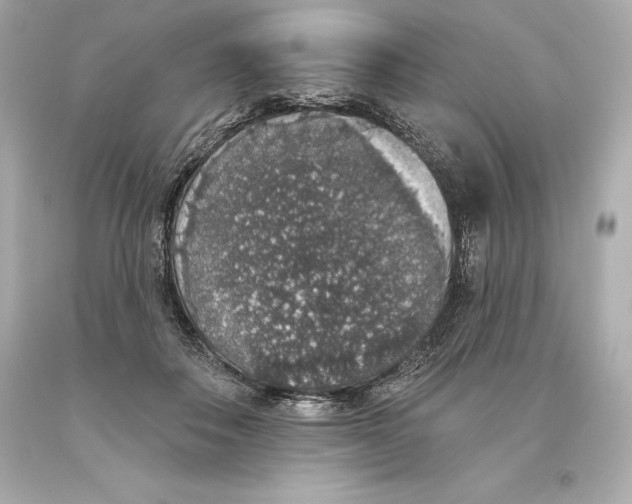 X0000093620506200711051242