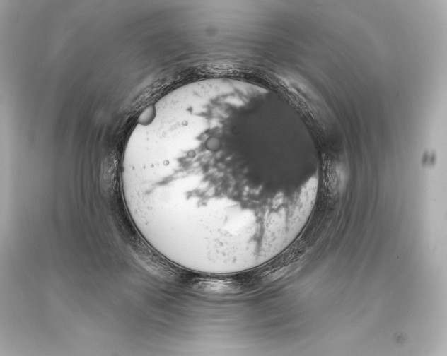 X0000093620507200711051242