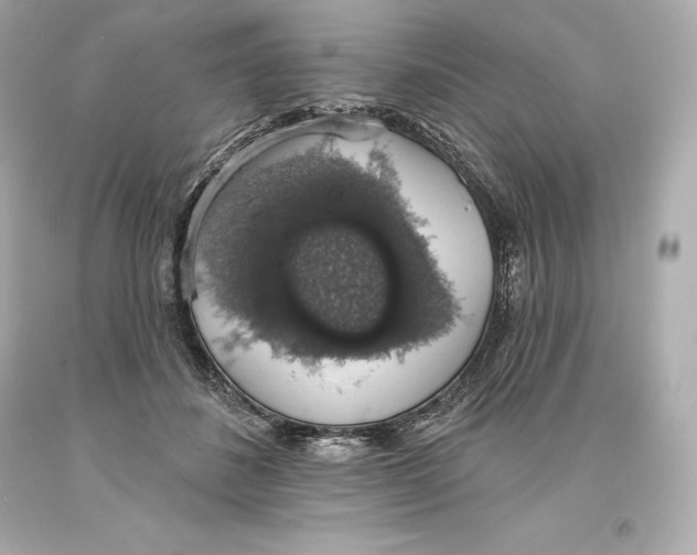 X0000093620508200711051242