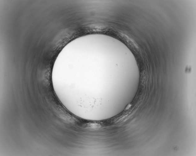 X0000093620509200711051242