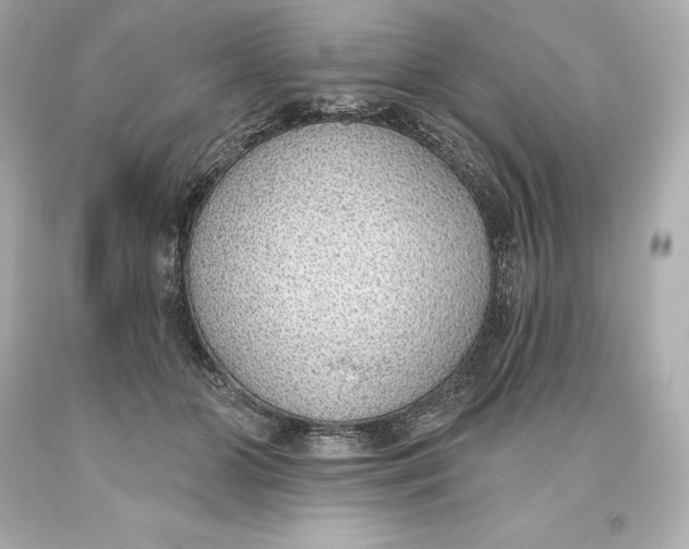 X0000093620510200711051242