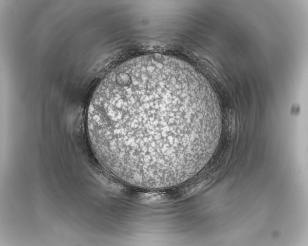 X0000093620511200711051242