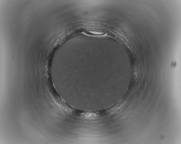 X0000093620512200711051242