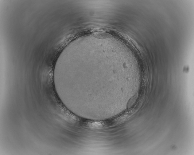 X0000093620513200711051242