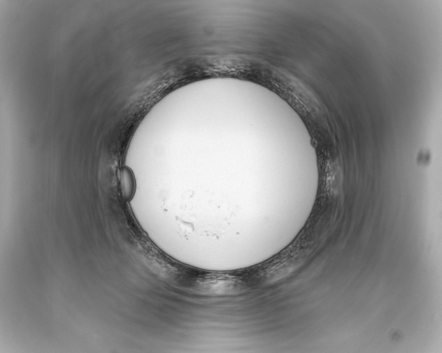 X0000093620514200711051242