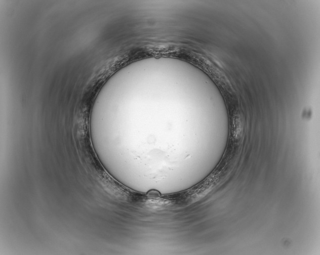 X0000093620515200711051242