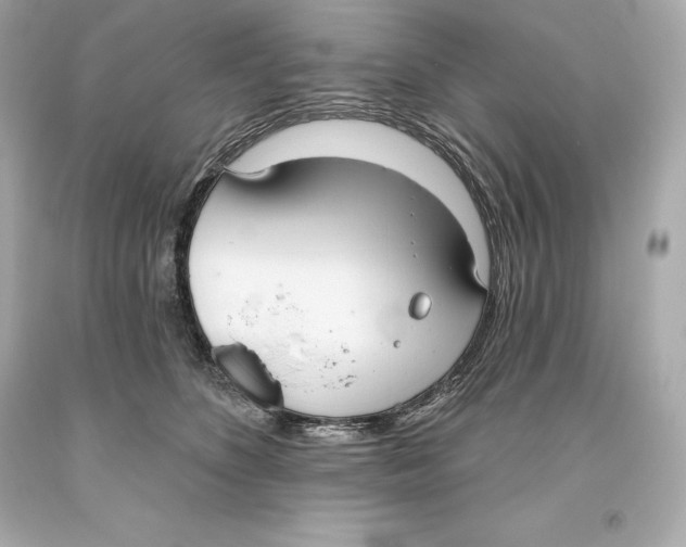 X0000093620516200711051242