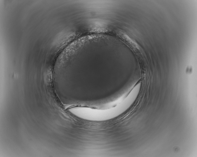 X0000093620517200711051242