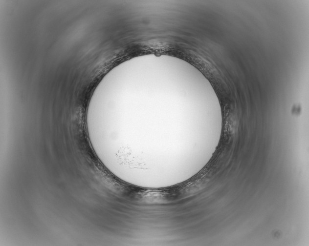 X0000093620518200711051242