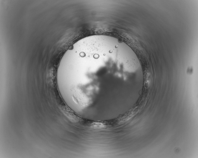 X0000093620519200711051242