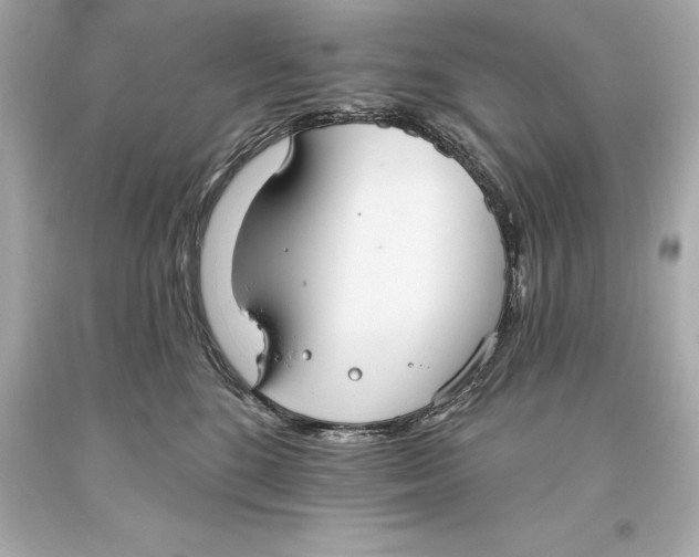 X0000093620520200711051241