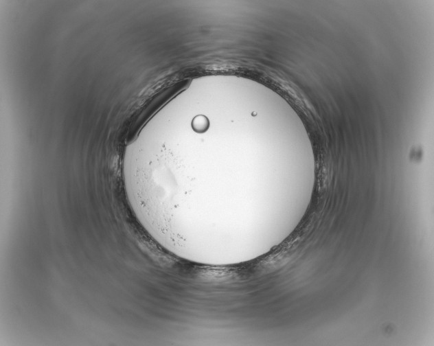 X0000093620521200711051241