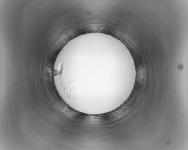 X0000093620522200711051241