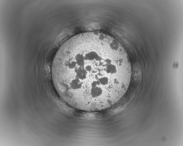 X0000093620523200711051241