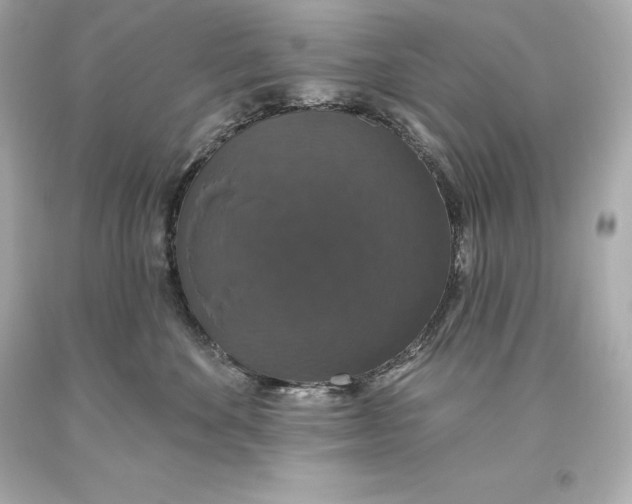 X0000093620524200711051241