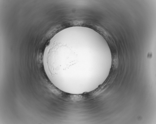 X0000093620525200711051241