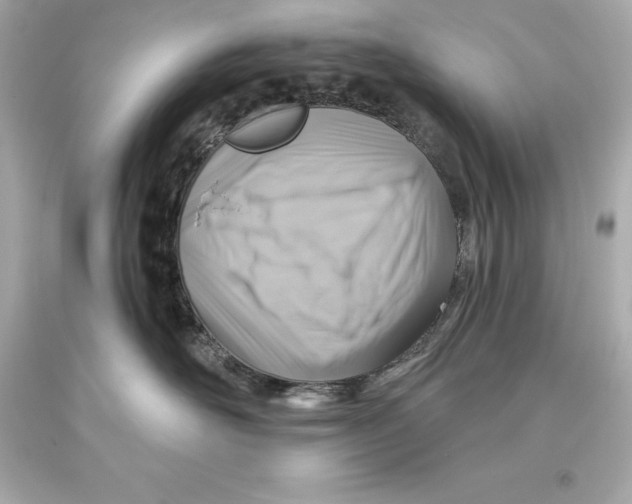 X0000093620526200711051241