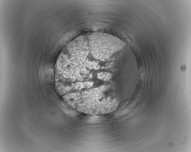 X0000093620527200711051241