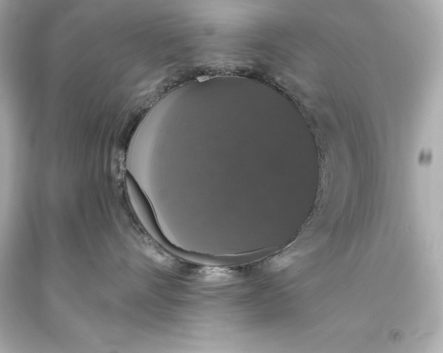 X0000093620528200711051241