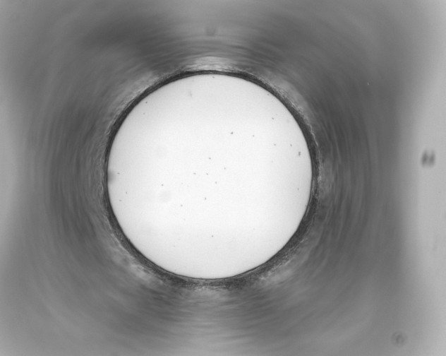 X0000093620529200711051241