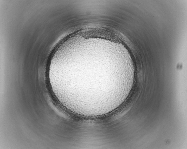 X0000093620530200711051241