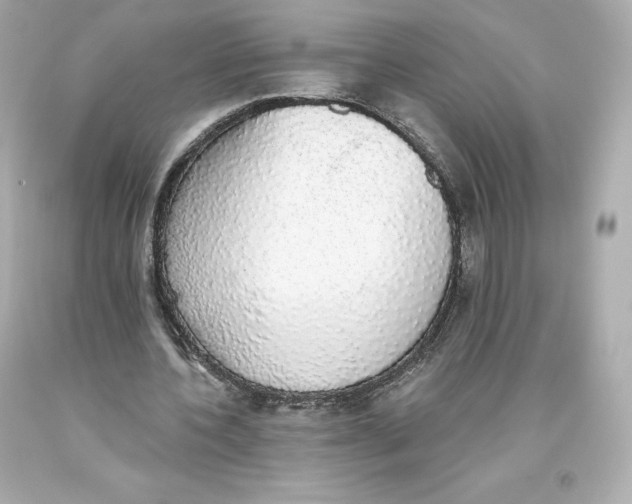 X0000093620532200711051241