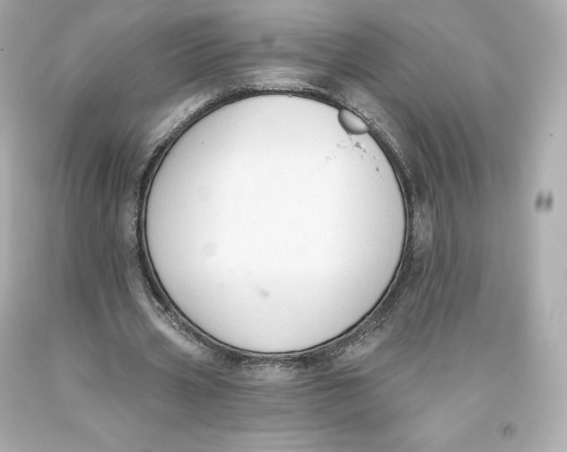 X0000093620533200711051241