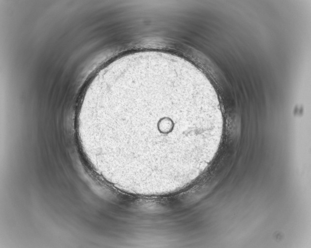 X0000093620534200711051241