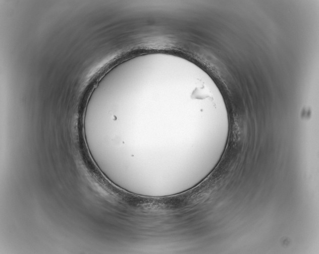 X0000093620535200711051241